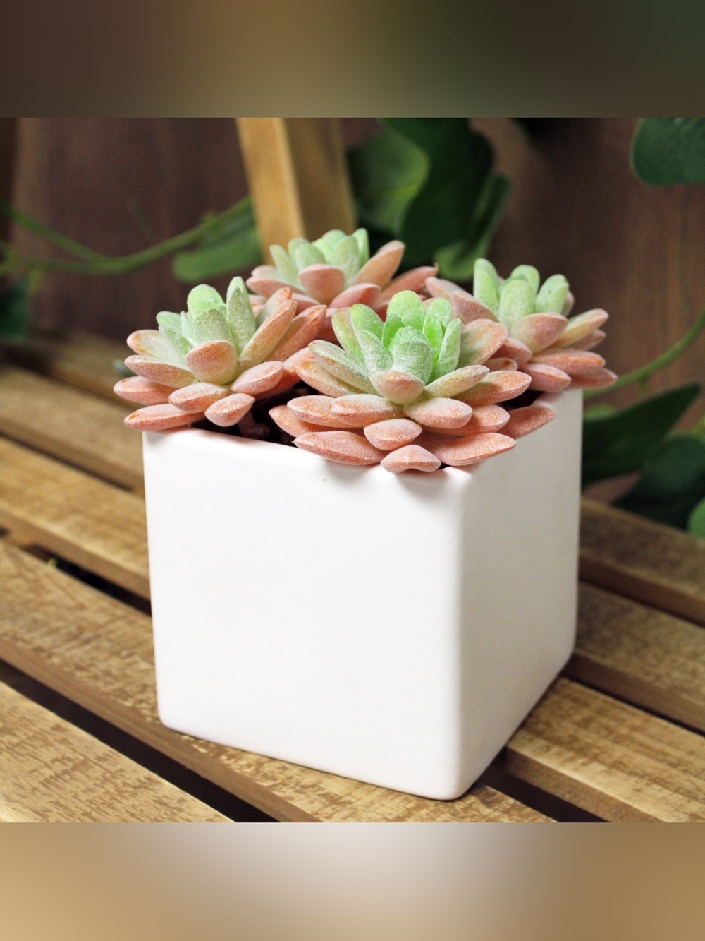 5.4" Artificial Pink Sugar Succulent Arrangement in White Ceramic Planter